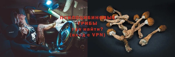 соль ск Балахна
