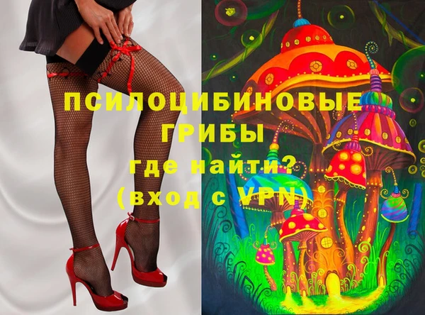 соль ск Балахна
