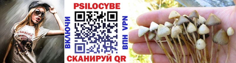 нарко площадка состав  цены   Гороховец  Галлюциногенные грибы MAGIC MUSHROOMS 